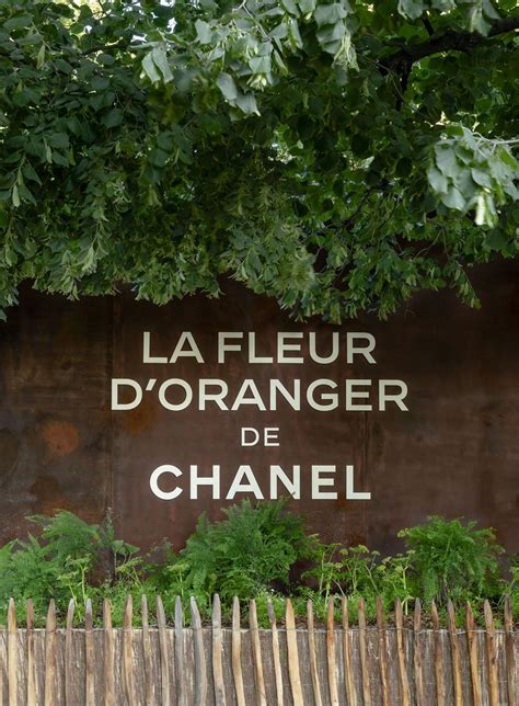 Jour J pour le jardin parisien de Chanel. 